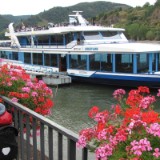 1208F 163 Rhein-Radweg